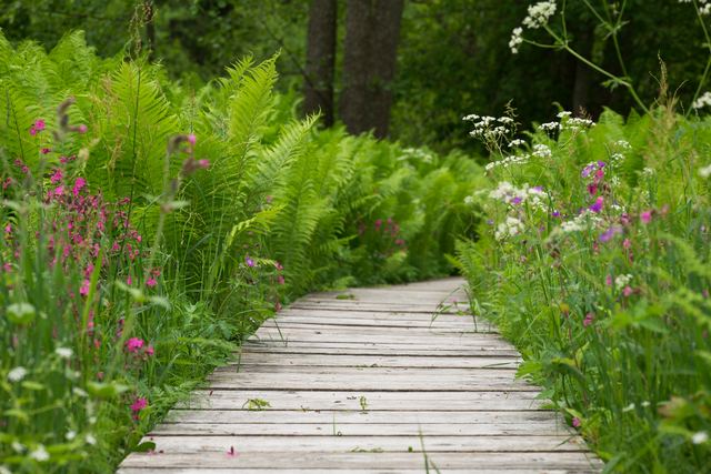 Créer une allée de jardin en caillebotis, droite ou en courbe Créer une allée de jardin en caillebotis, droite ou en courbe